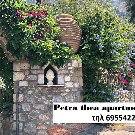 Petra Thea 1 *